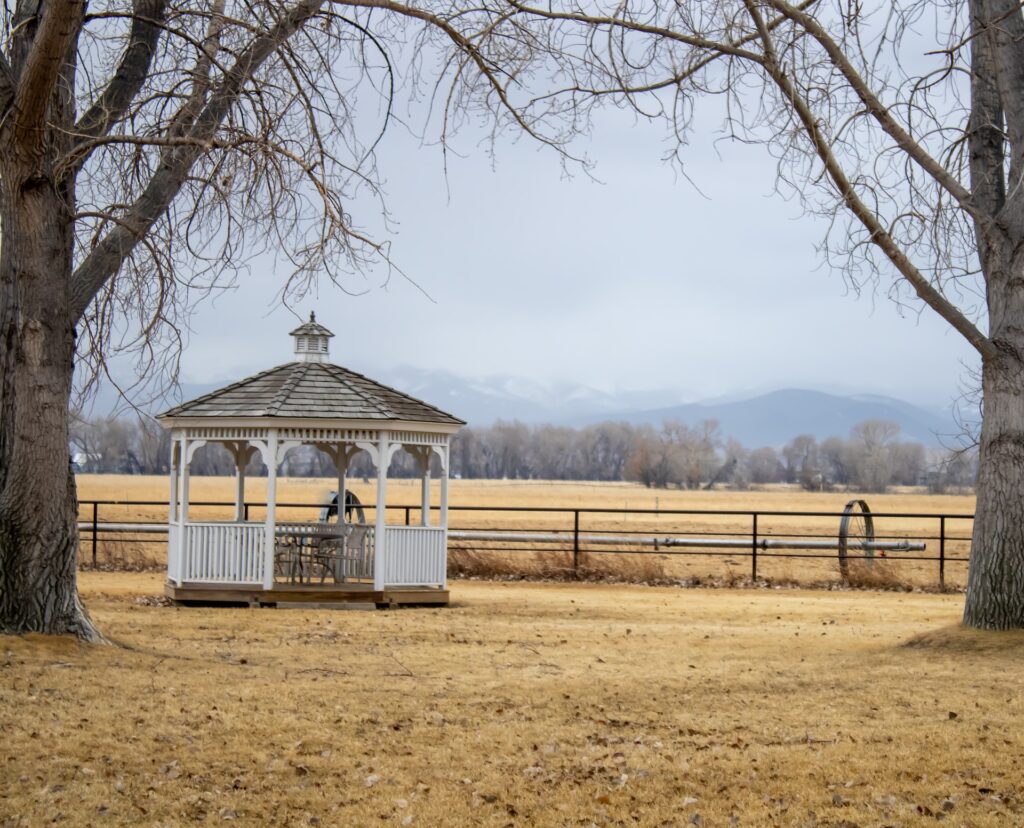 7 Best Gazebos for Rain and Wind (Ranked & Reviewed) My Modern Cave