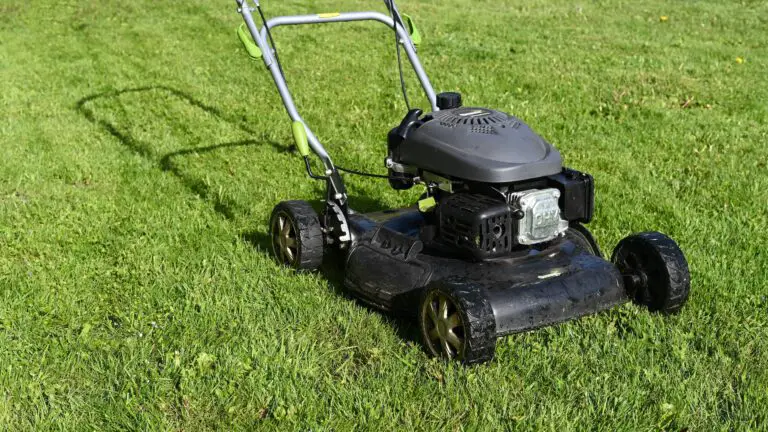 7 Best Lawn Mowers for Steep Hilly Yards