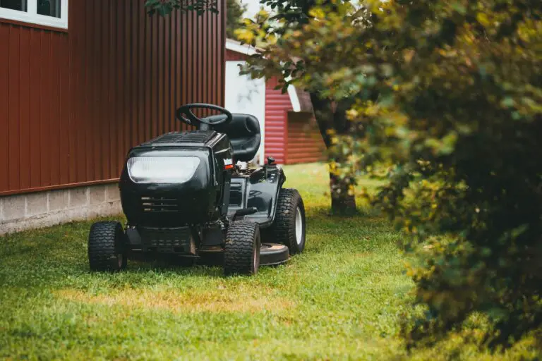 7 Best Lawn Mowers for a Small Yard