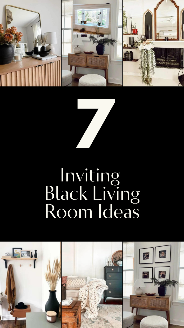 Black Living Room Ideas Infographic