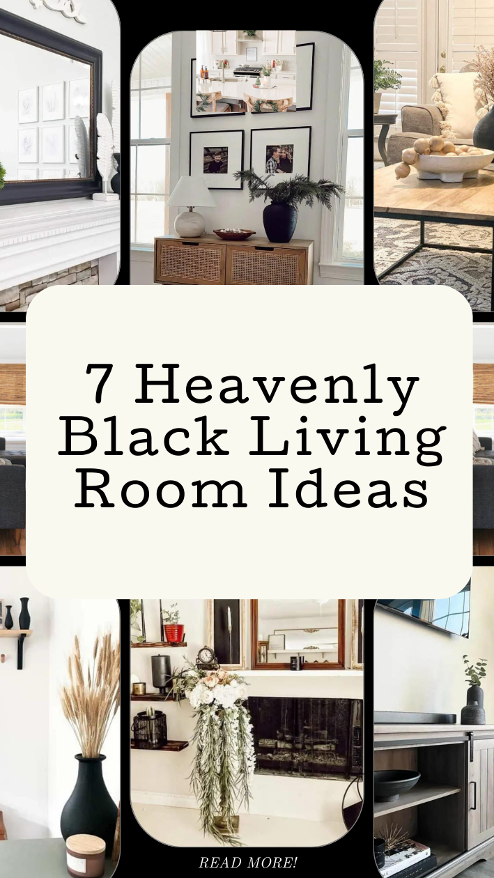 Black Living Room Ideas Infographic