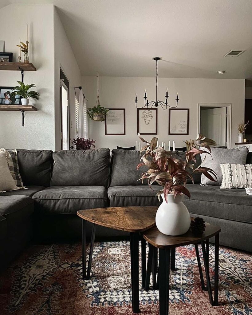 Modern Living Room With Red-toned Rustic Rug