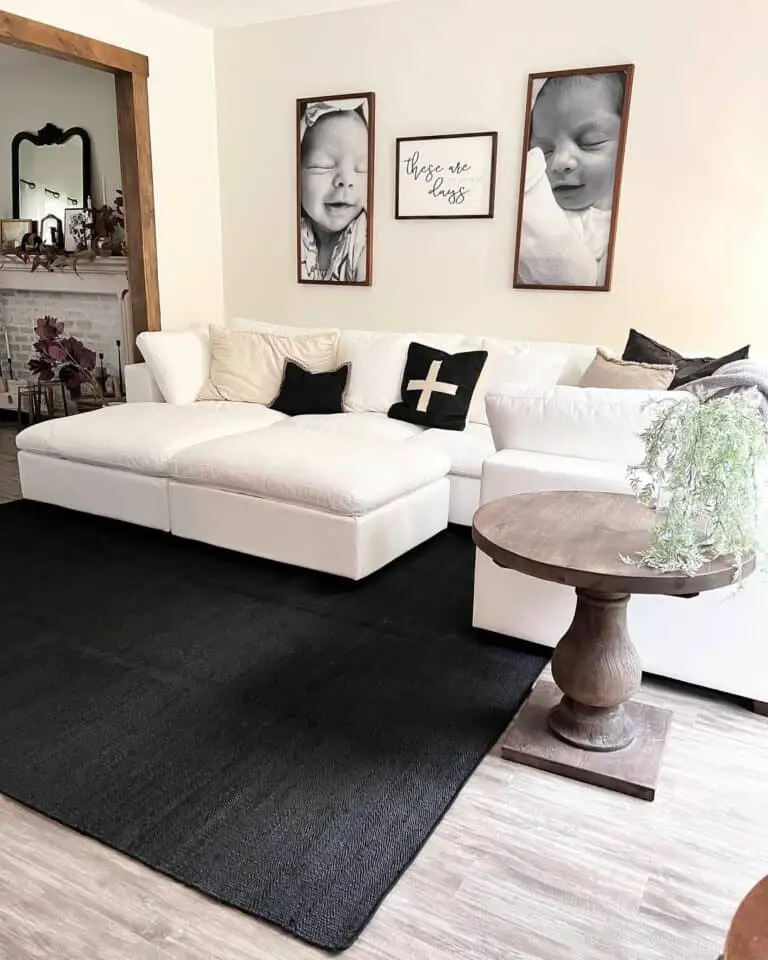 Modern Palette Harmony: Black and White Accents in a Farmhouse Living Room