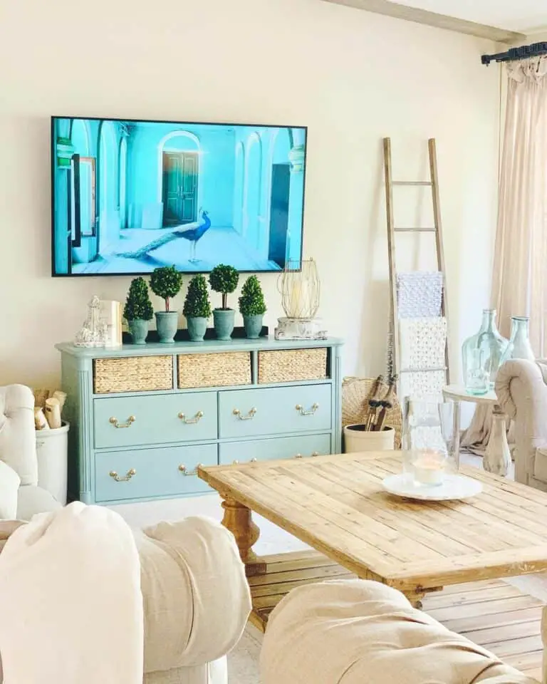 Serene Small Living Room Featuring a Light Blue Cabinet