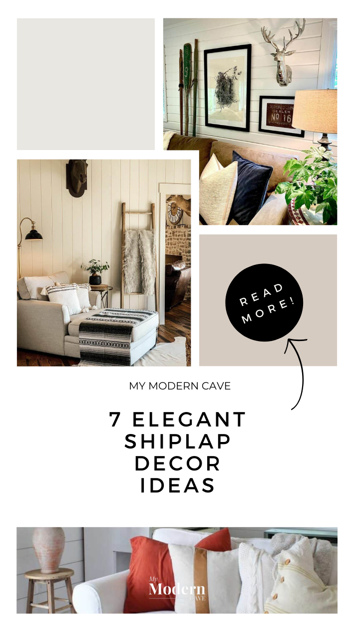 Shiplap Decor Ideas Infographic
