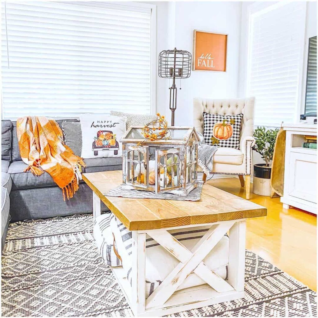 White & Gray Living Room with Orange Blanket