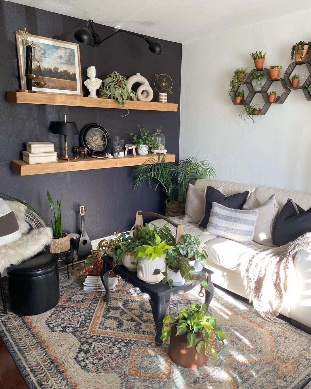 Azure Wall Paired with Timber Shelves