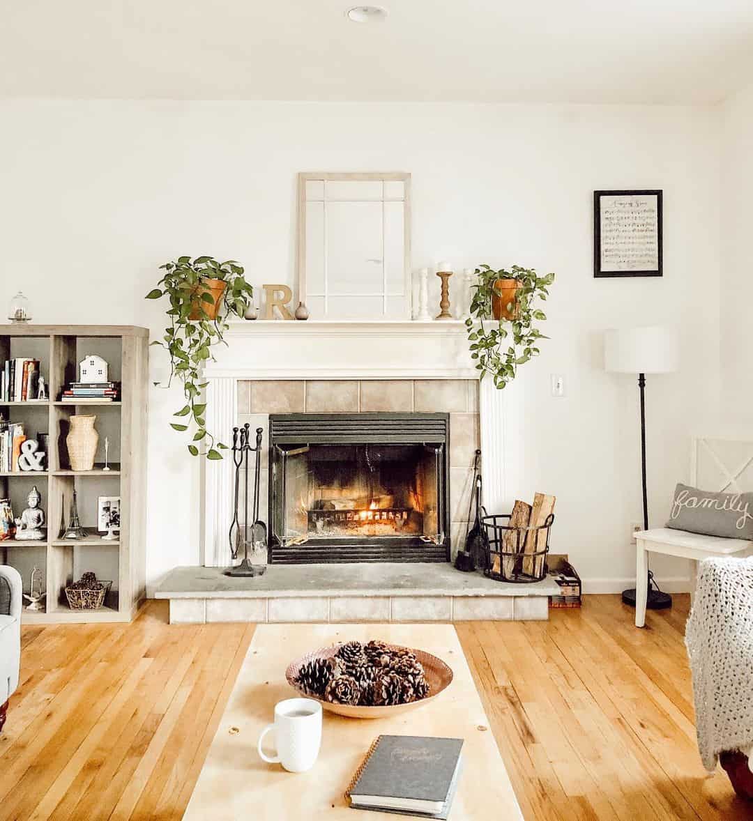 Elevate Your Living Room Fireplace with Potted Plants