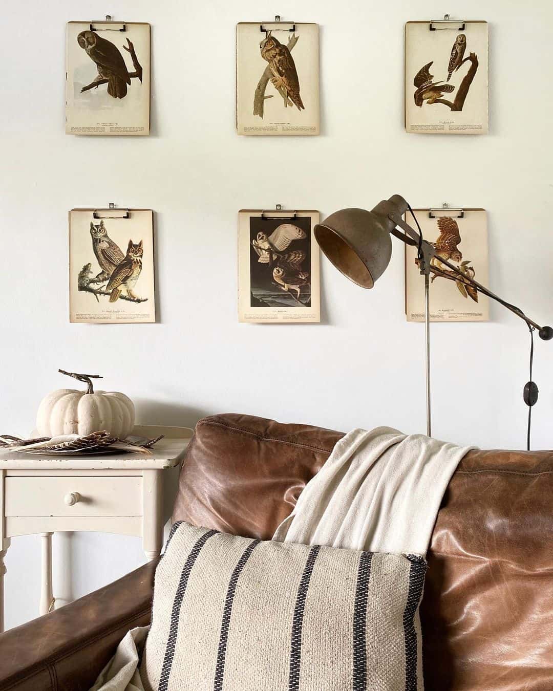 Room Embellished with Audubon Prints