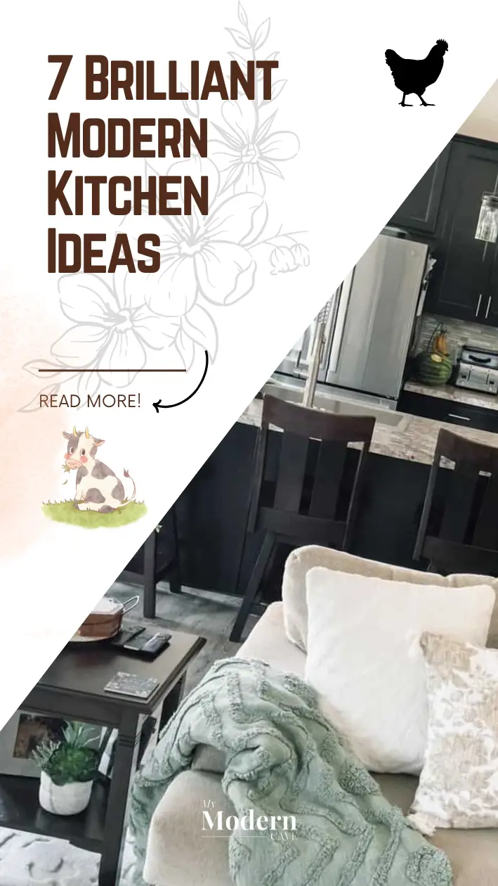 Modern Kitchen Ideas Infographic