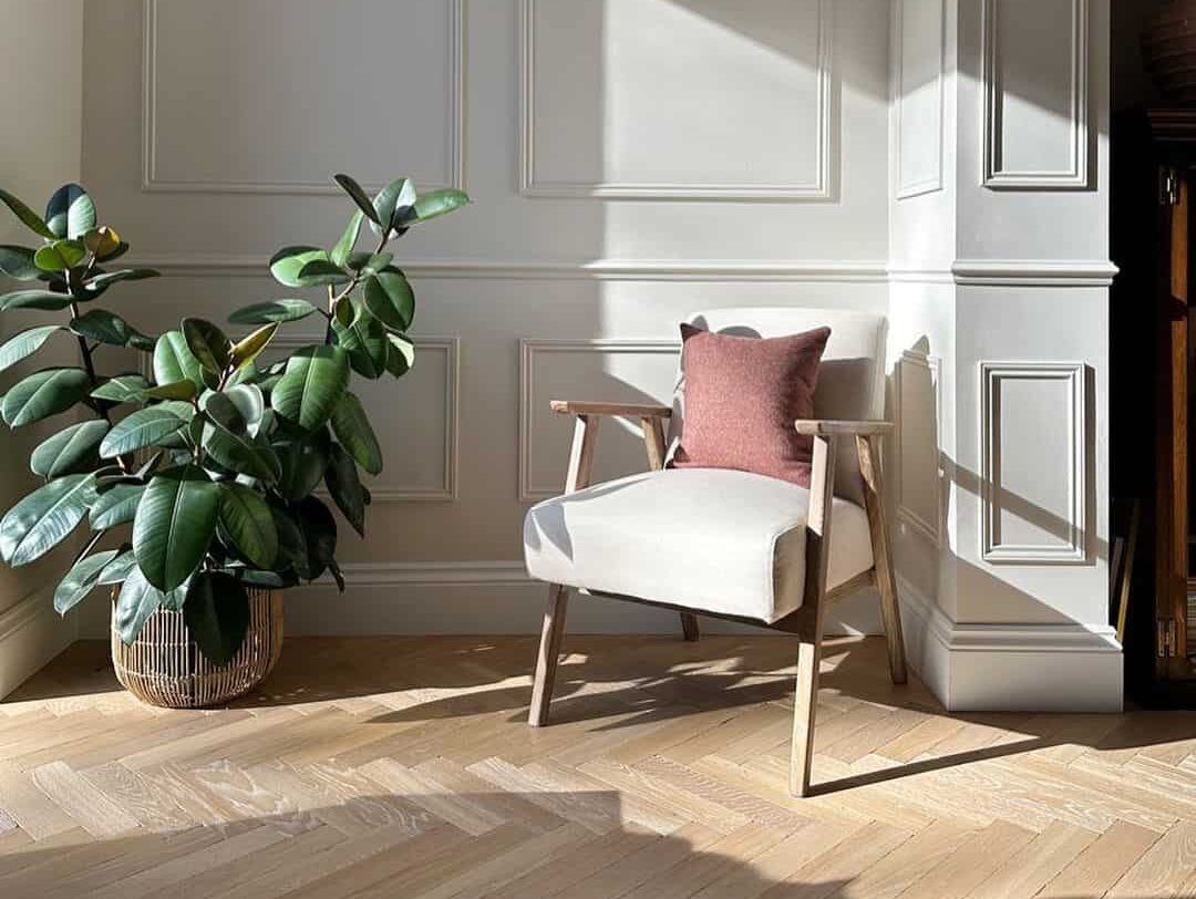 Soaking Up Sunlight: A Tranquil Retreat for a Single Chair