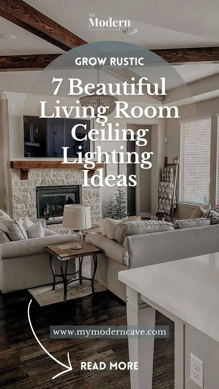 LIVING ROOM ceiling lighting  ideas Infographic