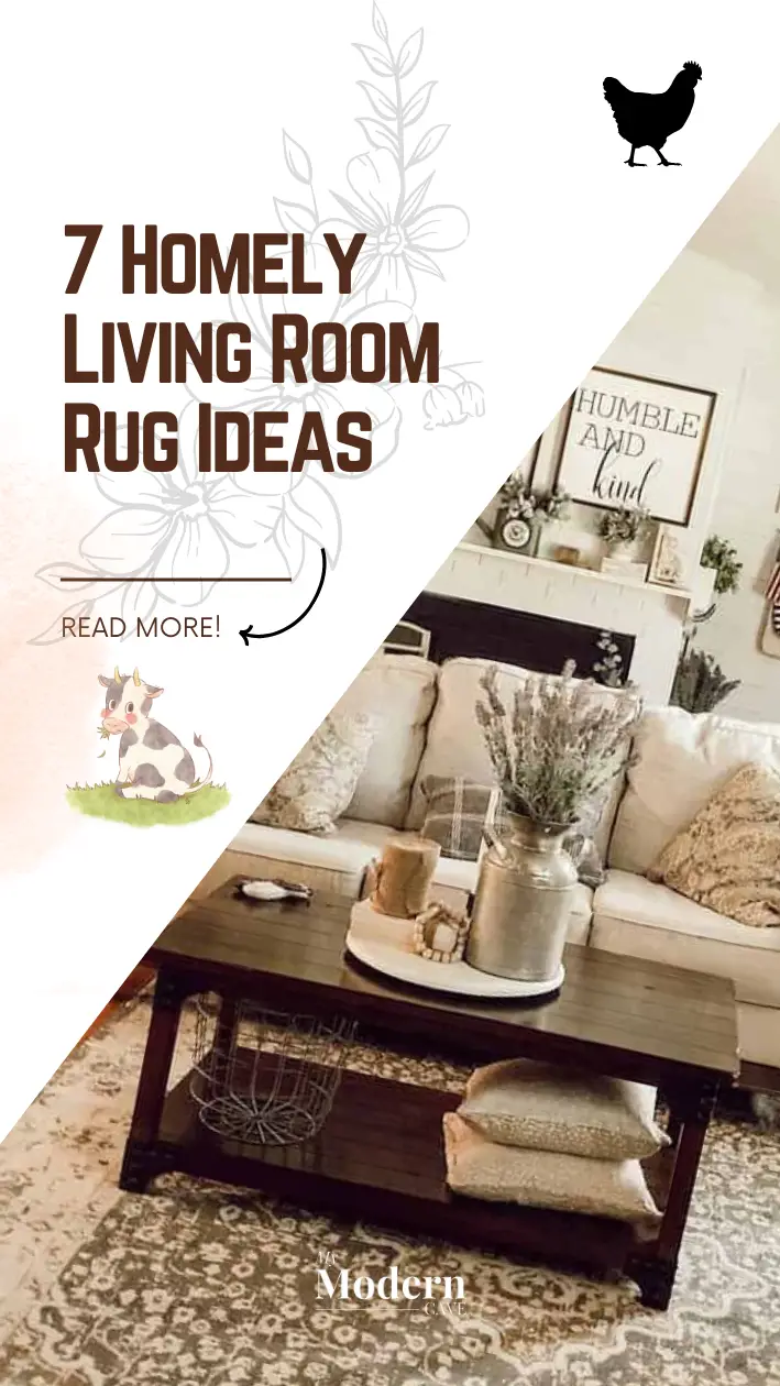 Living Room Rug Ideas Infographic