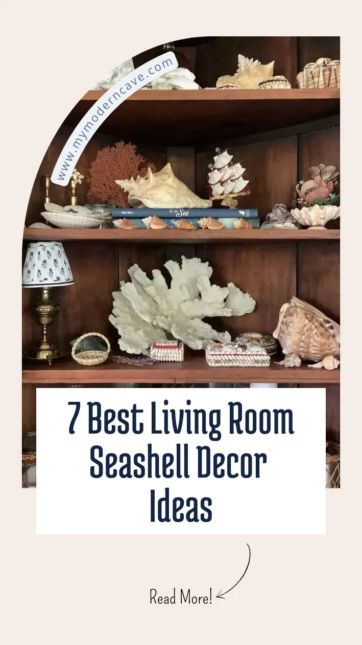 Living Room Seashell Decor Ideas Infographic