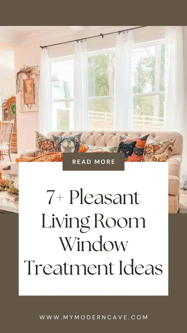 Living Room Window Treatment Ideas Infographic