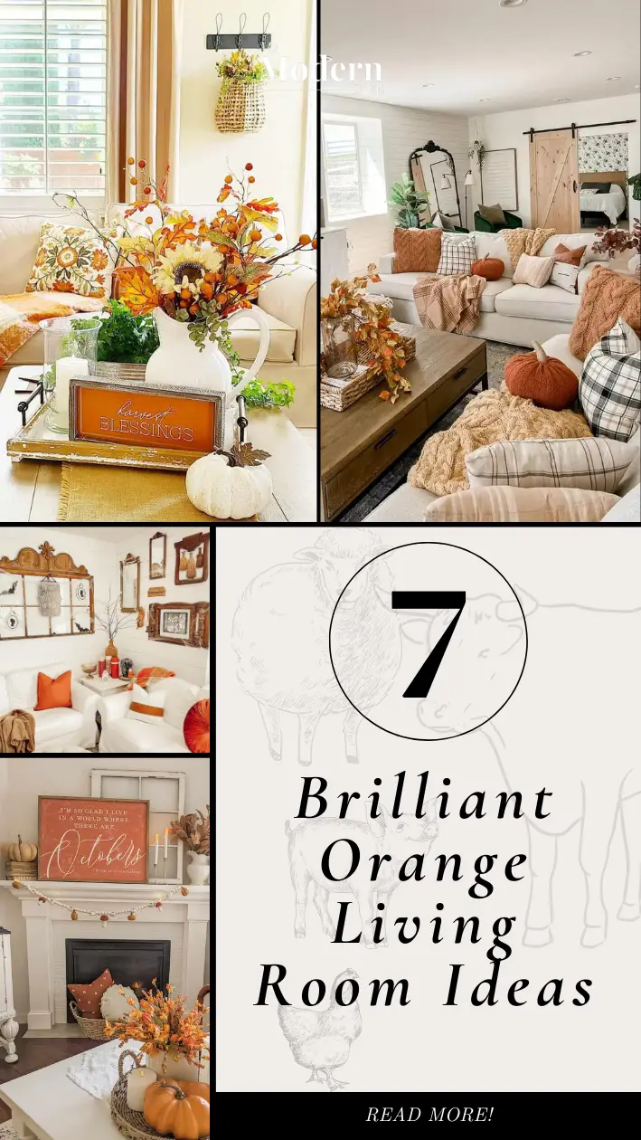 Orange Living  Room Ideas Infographic