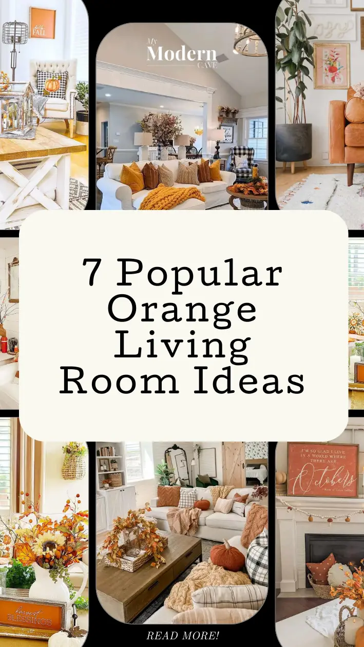 Orange Living  Room Ideas Infographic