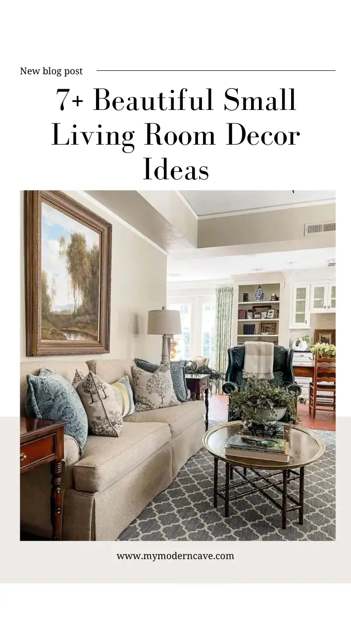 Small Living Room Decor Ideas Infographic