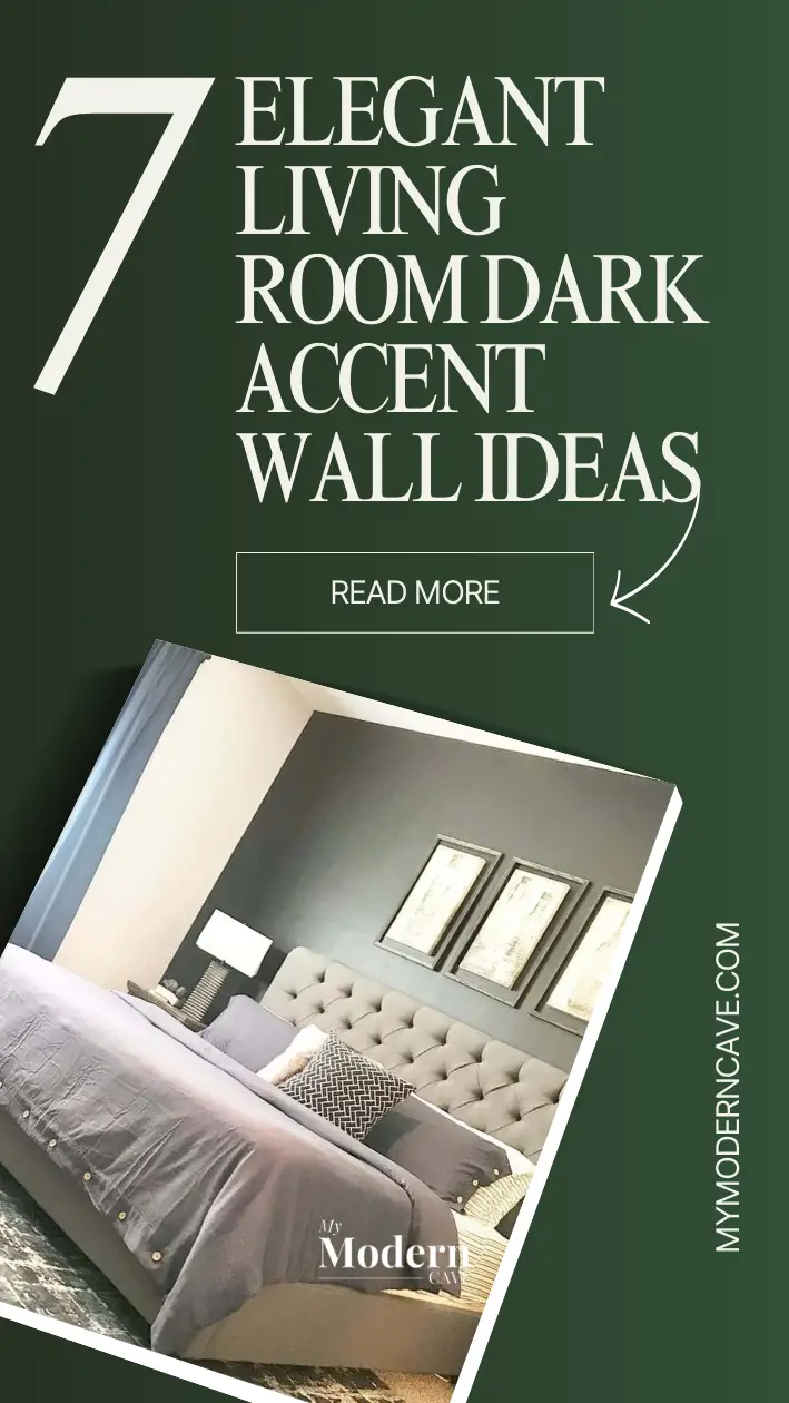 Living Room Dark Accent Wall Ideas Infographic