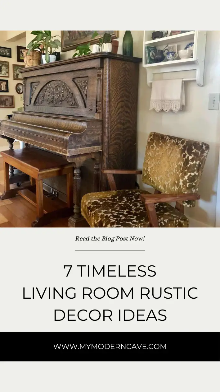 Living Room Rustic Decor  Ideas Infographic