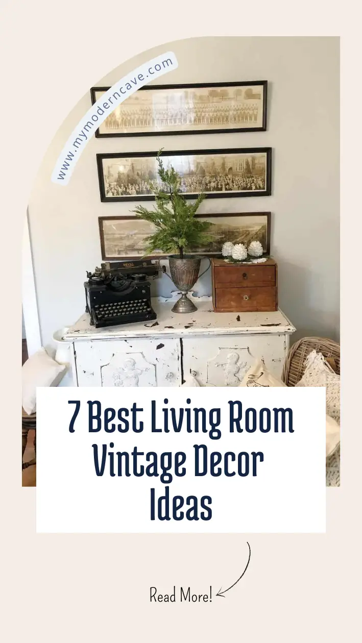 Living Room Vintage Decor Ideas Infographic