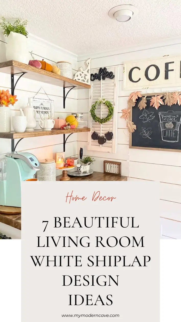 Living Room White Shiplap Design Ideas Infographic