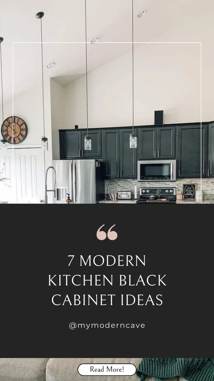 Kitchen  Black Cabinet Ideas Infographic