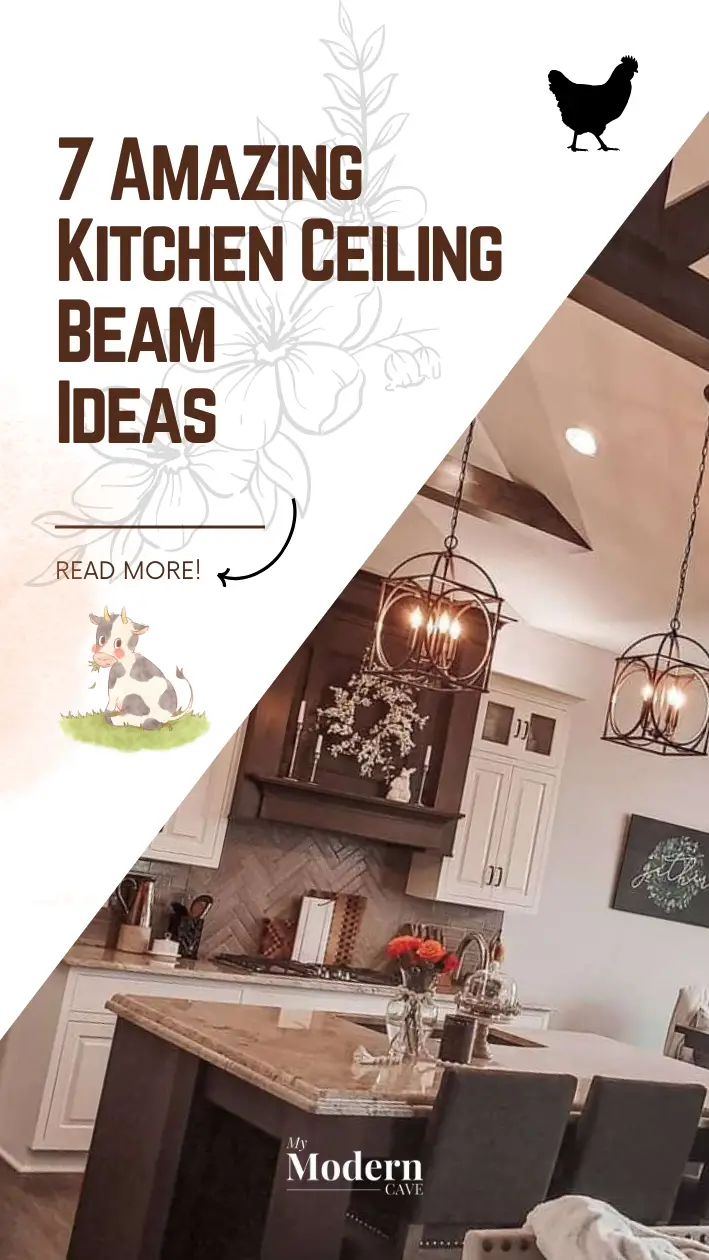 Kitchen Ceiling Beam Ideas Infographic