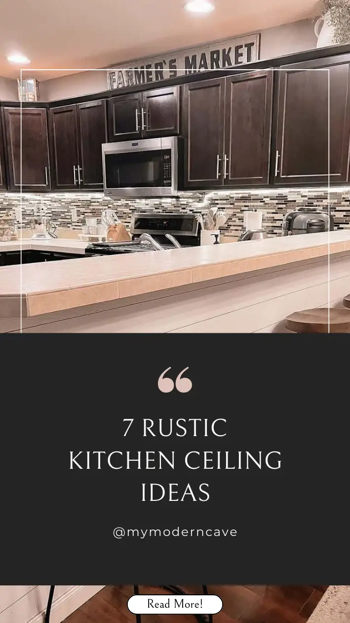 Kitchen  Ceiling Ideas Infographic
