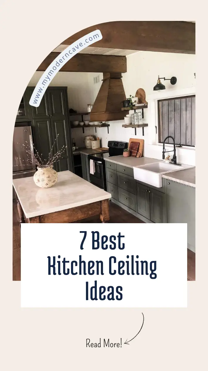 Kitchen  Ceiling Ideas Infographic