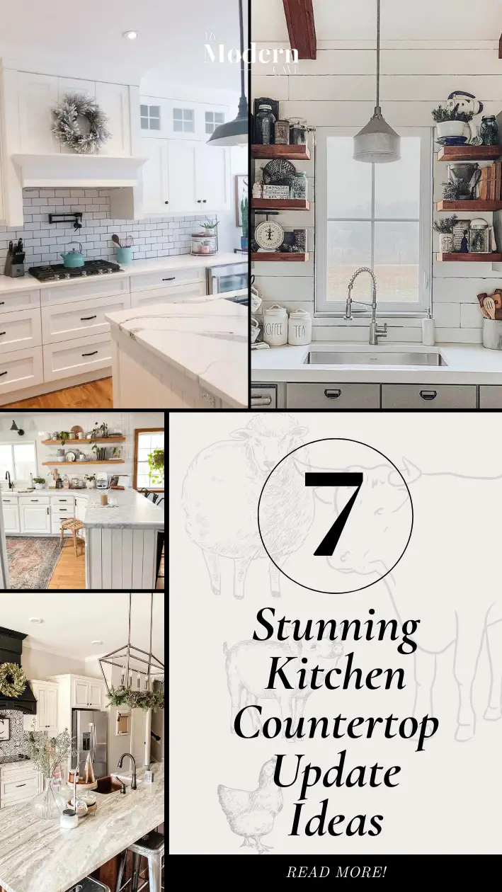 Kitchen Countertop Update Ideas Infographic 