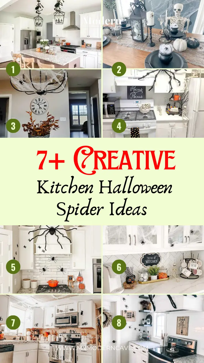 Kitchen Halloween Spider Ideas Infographic 