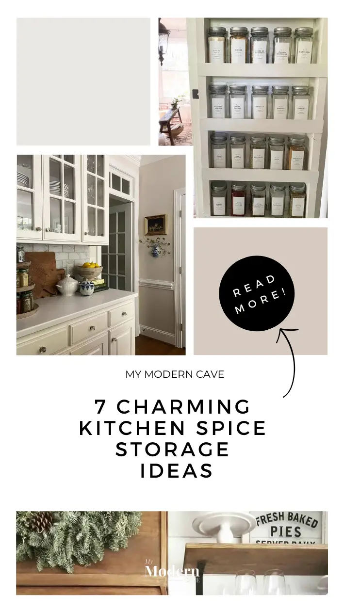 Kitchen Spice Storage Ideas Infographic
