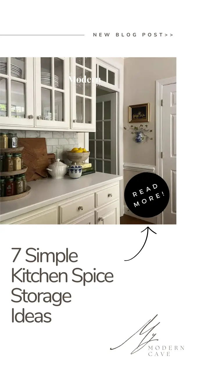Kitchen Spice Storage Ideas Infographic