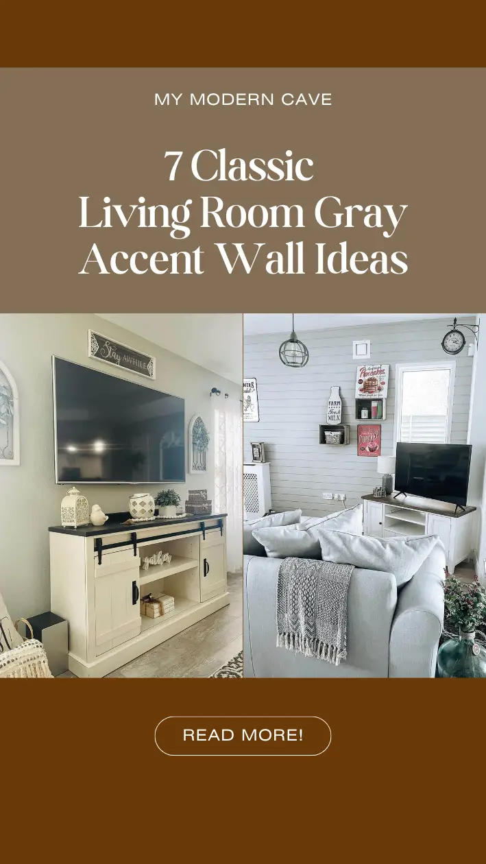 Living Room Gray Accent Wall Ideas Infographic