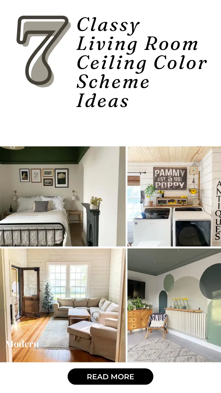 Living room Ceiling Color Scheme Ideas Infographic