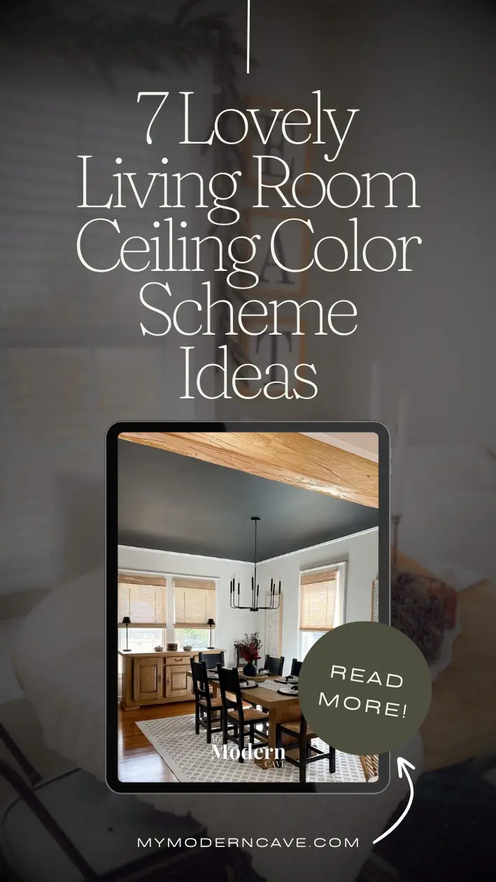 Living room Ceiling Color Scheme Ideas Infographic