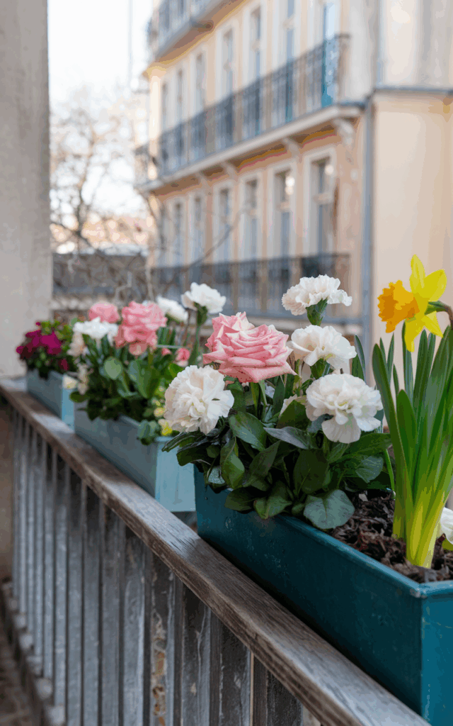 Add Seasonal Flower Boxes for Rotation