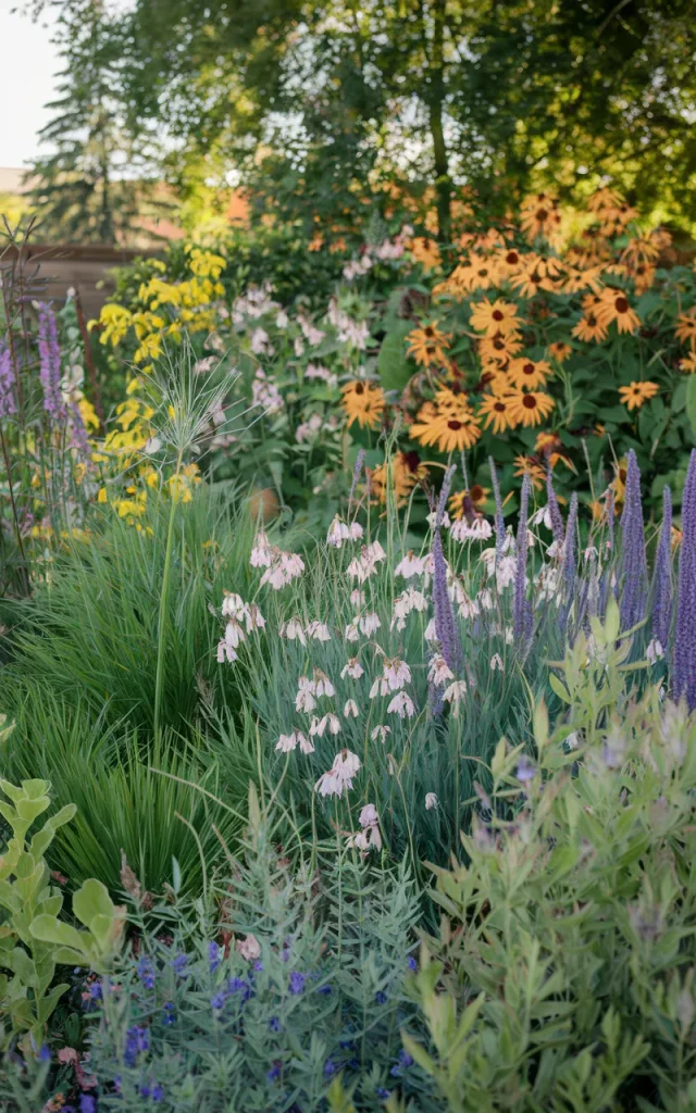 Design a Wildlife-Friendly Garden